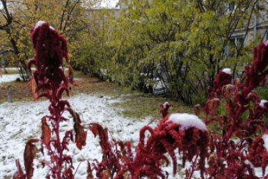 Заморозки Анета  Абрамченко, ИА ChitaMedia