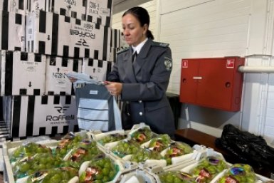 . пресс-служба управления Россельхознадзора по Красноярскому краю