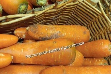 . пресс-служба управления Роспотребнадзора по Красноярскому краю