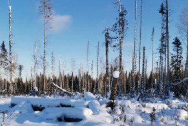 . пресс-служба прокуратуры Красноярского края