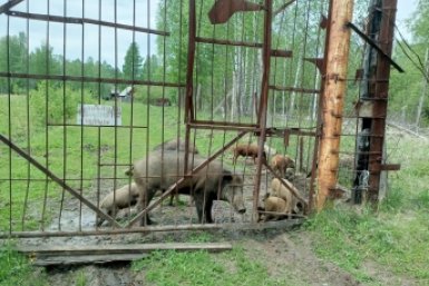 . пресс-служба прокуратуры Красноярского края