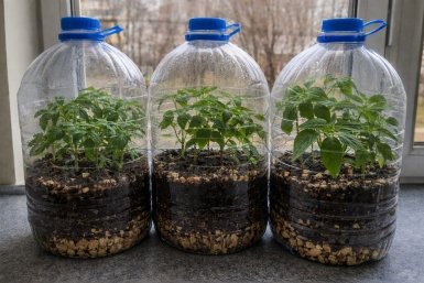 Тематическое фото сгенерировано ИИ Qwenlm.ai (18+)