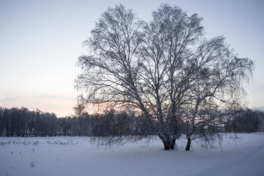 . Евгений Овдеенко, ИА OmskMedia