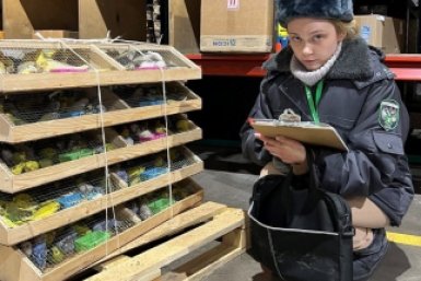 . пресс-служба управления Россельхознадзора по Красноярскому краю