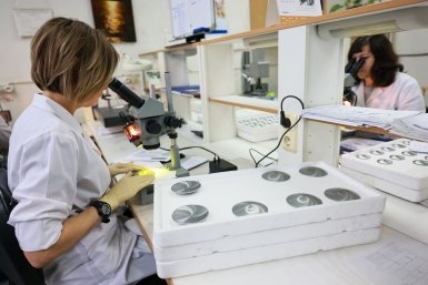 . Александр Черных