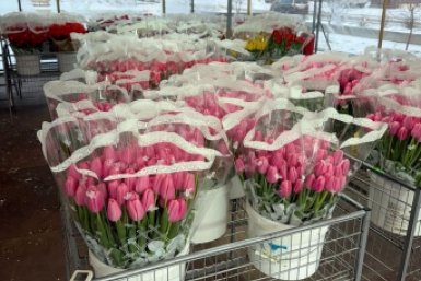 . пресс-служба администрации города Красноярска