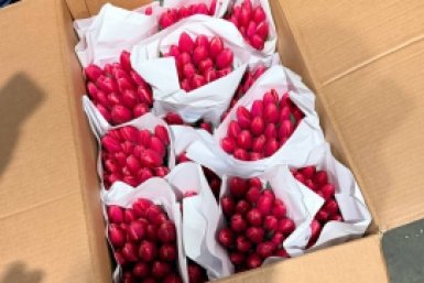 . пресс-служба Управления Россельхознадзора по Красноярскому краю