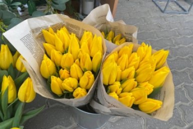 . Артём Хорошилов  , ИА Stavropol.Media