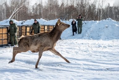 . В.Корецкий