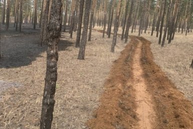 Город готовится к пожароопасному сезону: расчищены леса, созданы заслоны и патрули мэрия Улан-Удэ