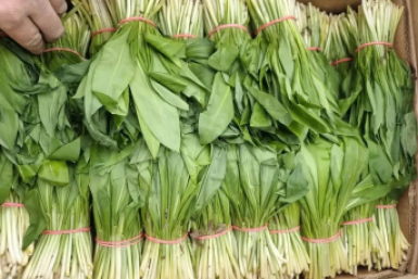 . пресс-служба управления Россельхознадзора по Красноярскому краю