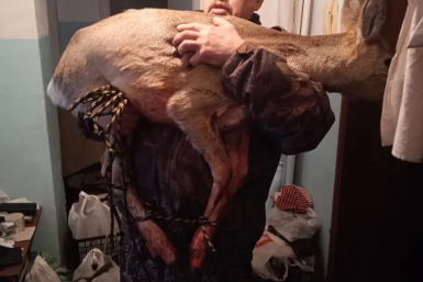 . пресс-служба ГУ МВД России по Красноярскому краю