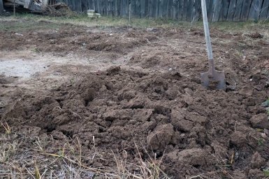 Выполняю работы в саду в апреле по четкому графику — и идеально чистые грядки и здоровые деревья без суеты и переутомления Автора