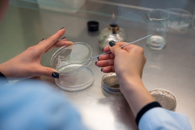 В ИРНИТУ при поддержке Фармасинтез открыли обновлённую лабораторию Илья Аверьянов, ИА PrimaMedia