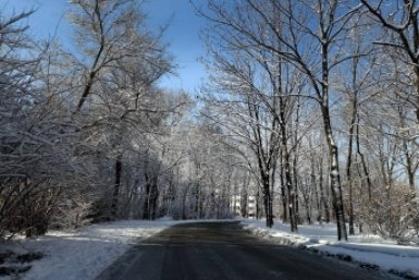 Зима, снег, погода Марина Кудрявцева, ИА UssurMedia.