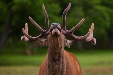 В Бурятии реализуются проекты по сохранению биоразнообразия при поддержке ВТБ Дмитрий Осипчук, ИА PrimaMedia.ru