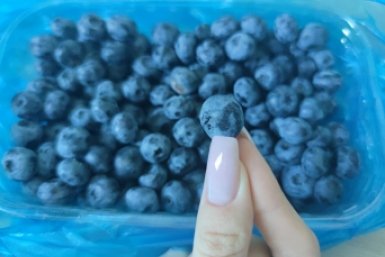 Не голубика, а сладкий завод: 4 литра под куст – и ягода идет ведрами