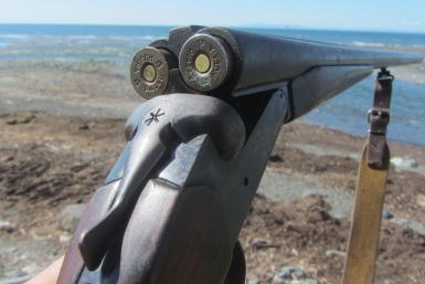 В Минприроды опровергли слухи о разрешении охоты на краснокнижных животных