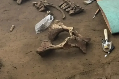 . соцсети Александра Усса