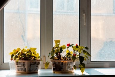 Пыль не вернётся неделями: простой лайфхак для идеальной чистоты