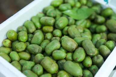 Собираю с куста 6 кг сладких ягод — не киви и не крыжовник: выдерживает суровые зимы, а полезнее лимона