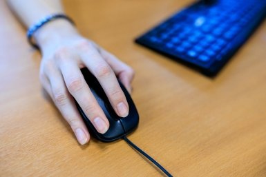 Студенты разработали умного помощника для бизнеса на Весенней экономической школе Евгений  Кулешов, ИА PrimaMedia.ru