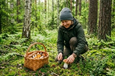 "Тихая" охота вовсю прет: выхожу из леса с полными корзинами вкусных грибов — всего 5 трюков