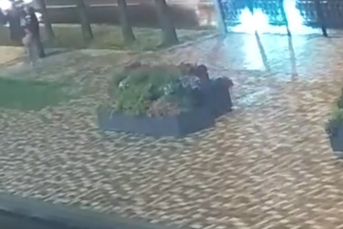 Полиция и прокуратура взялись за вандалов, ворующих растения с клумб Ставрополя