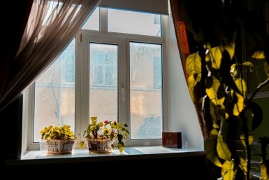 Мух, комаров, мошкары как не бывало: простой трюк, чтобы забыть о насекомых в доме