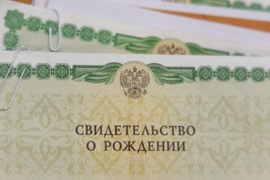 Свидетельство о рождении Евгений  Кулешов, ИА PrimaMedia.ru