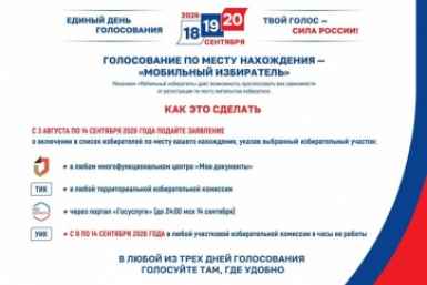 Жители Красноярского края смогут проголосовать по месту нахождения