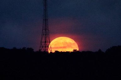 Затмение 12 августа: астролог предупредила о трех важных днях до и после
