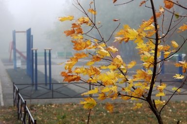 Бабье лето в центре и холода в Сибири и на ДВ — каким будет сентябрь в России