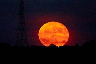 Гороскоп на 29 августа 2026 года: Овен поменяет планы, Раку стоит заняться собой