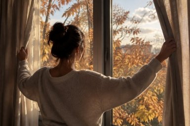 Шторы собирают всё, что летит с улицы Сгенерировано ИИ