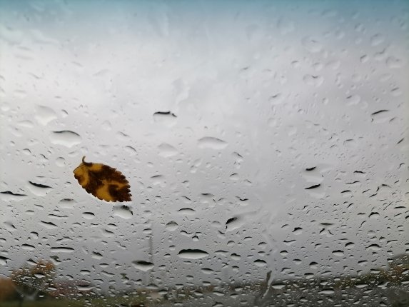 Новость дня