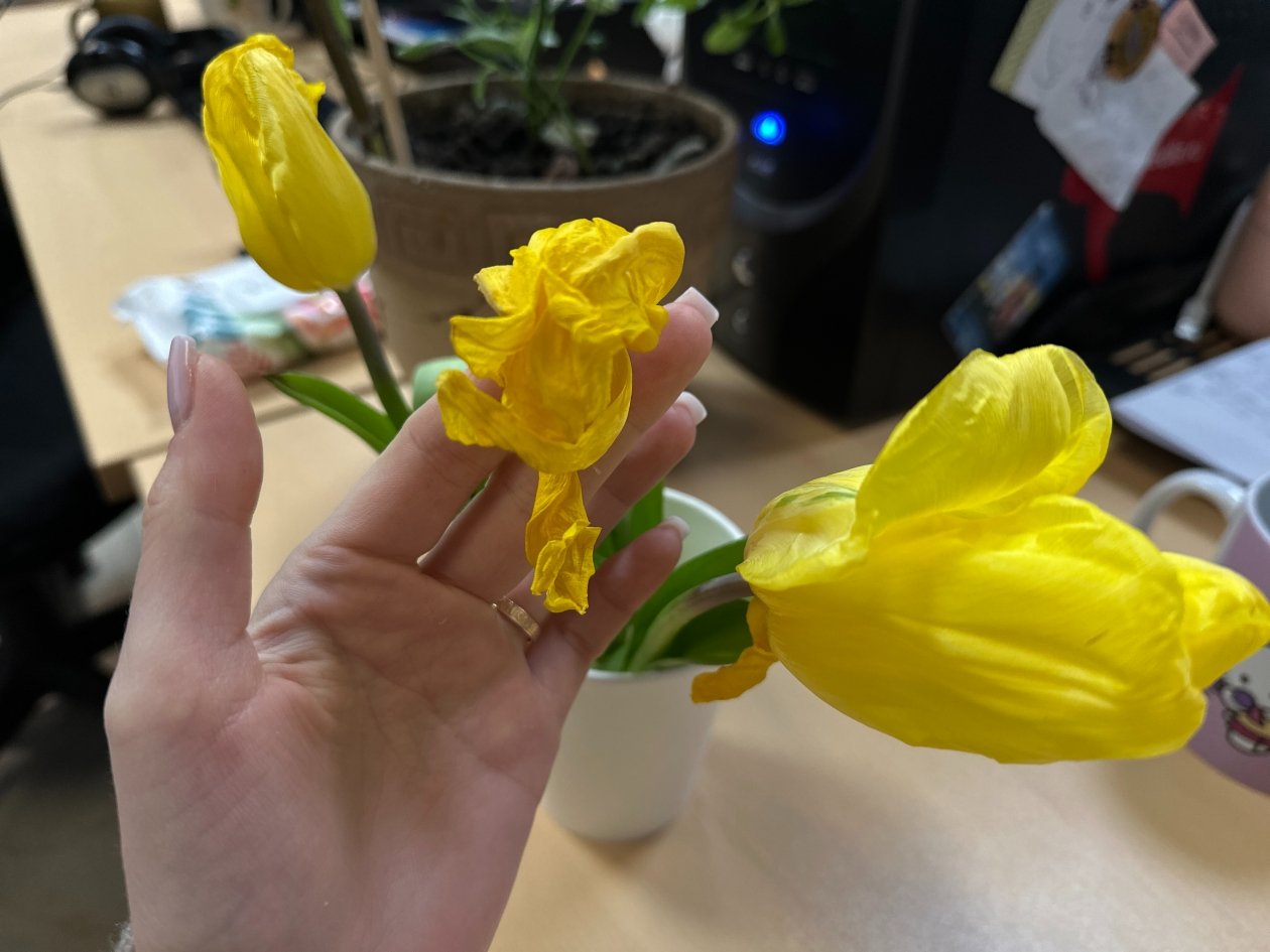 Тематическое фото Валерия Панфилова, ИА PrimaMedia