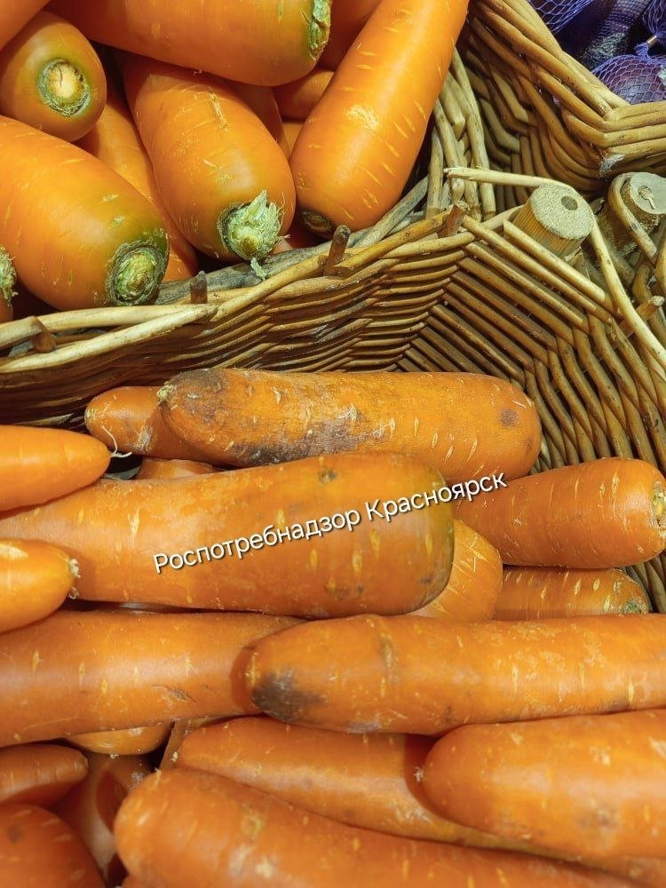 . пресс-служба управления Роспотребнадзора по Красноярскому краю