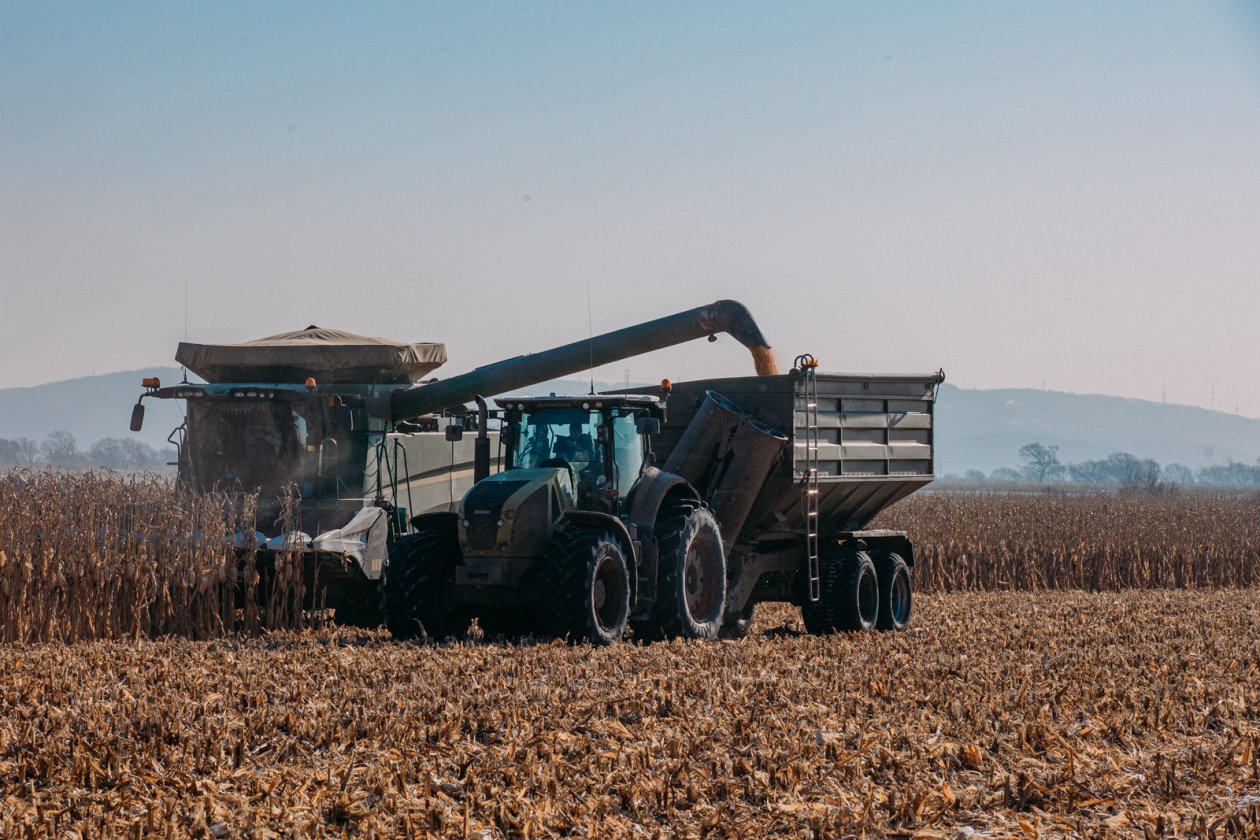 кукуруза, уборка кукурузы, сельское хозяйство, сельхоз, сельскохозяйственная техника Мария Смитюк, ИА PrimaMedia.ru