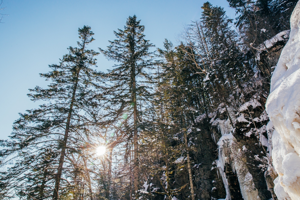 зима, лес, снег, природа, погода, мороз, зимние каникулы Мария Смитюк, ИА PrimaMedia