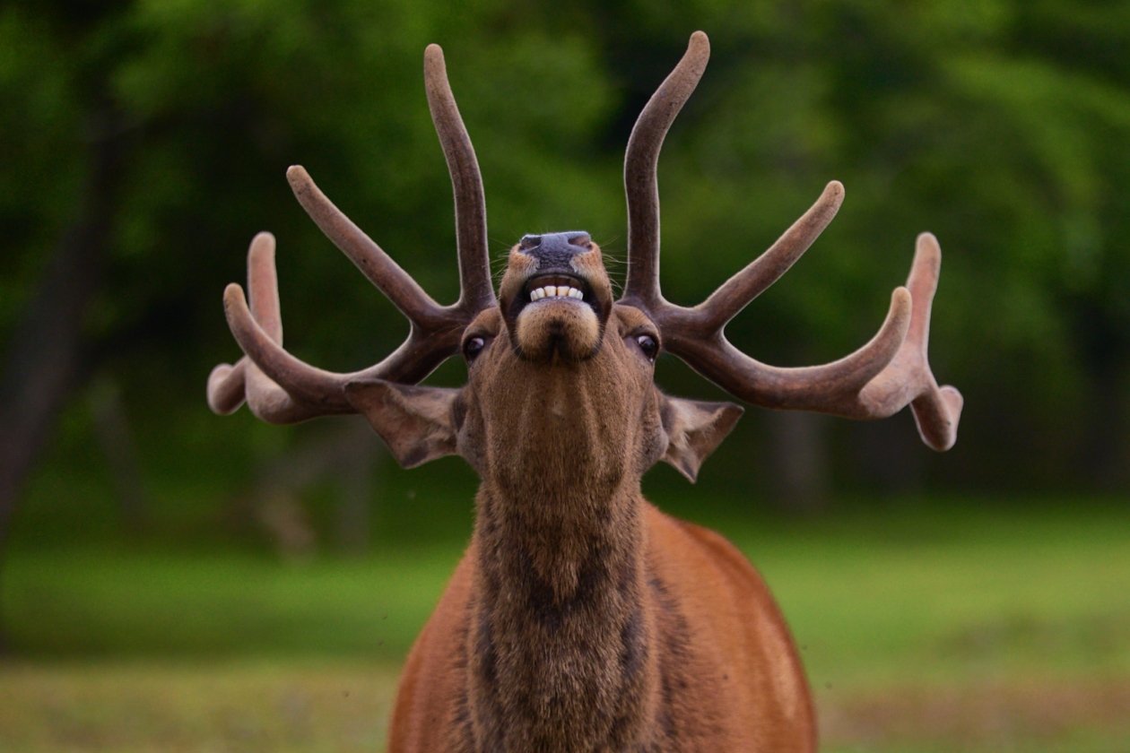 В Бурятии реализуются проекты по сохранению биоразнообразия при поддержке ВТБ Дмитрий Осипчук, ИА PrimaMedia.ru