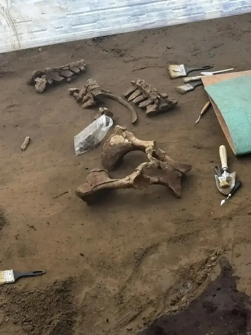 . соцсети Александра Усса