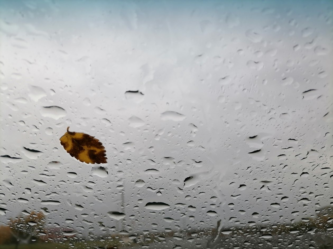 Погода, осень, дождь Анета  Абрамченко, ИА ChitaMedia