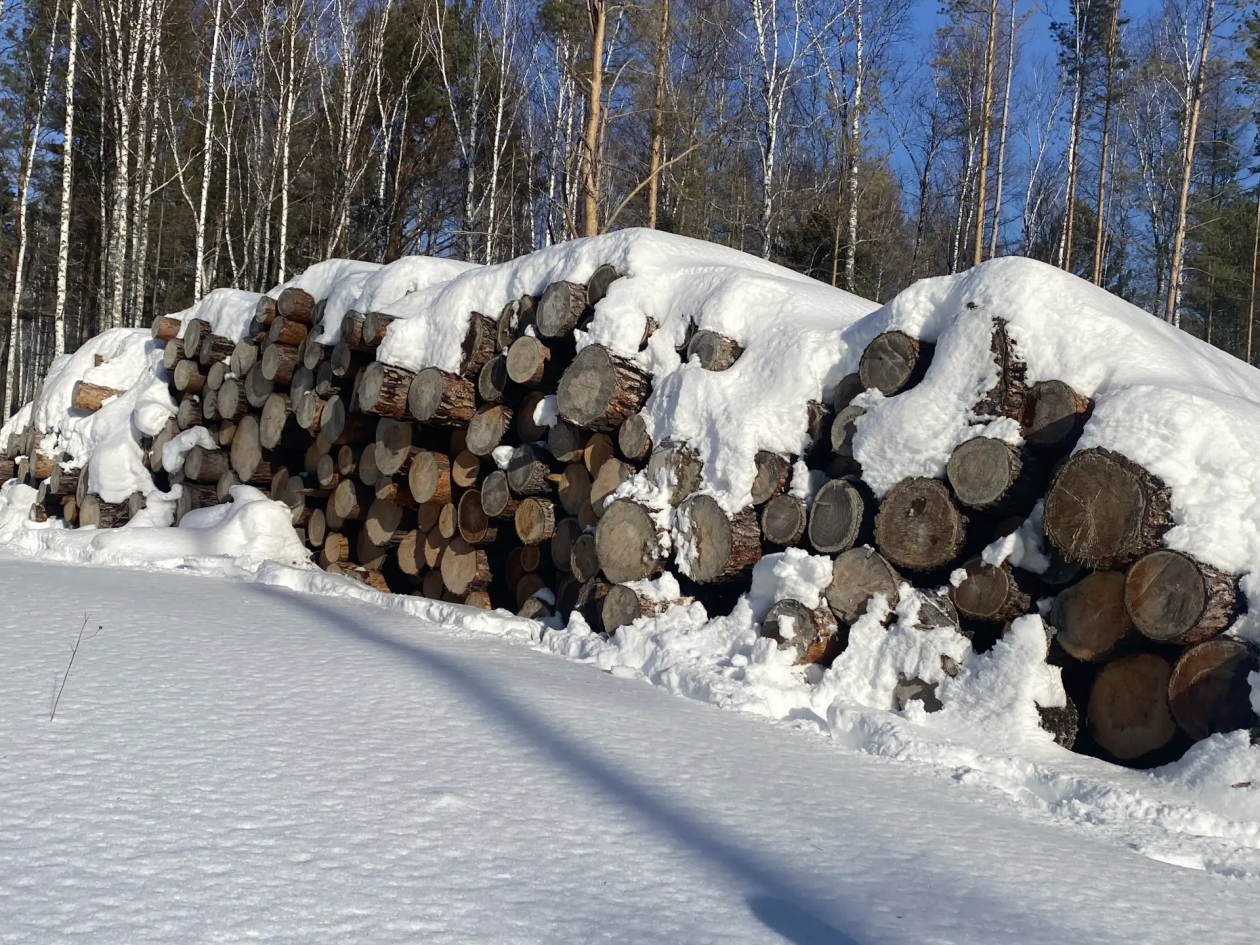 . пресс-служба ГУ МВД России по Красноярскому краю
