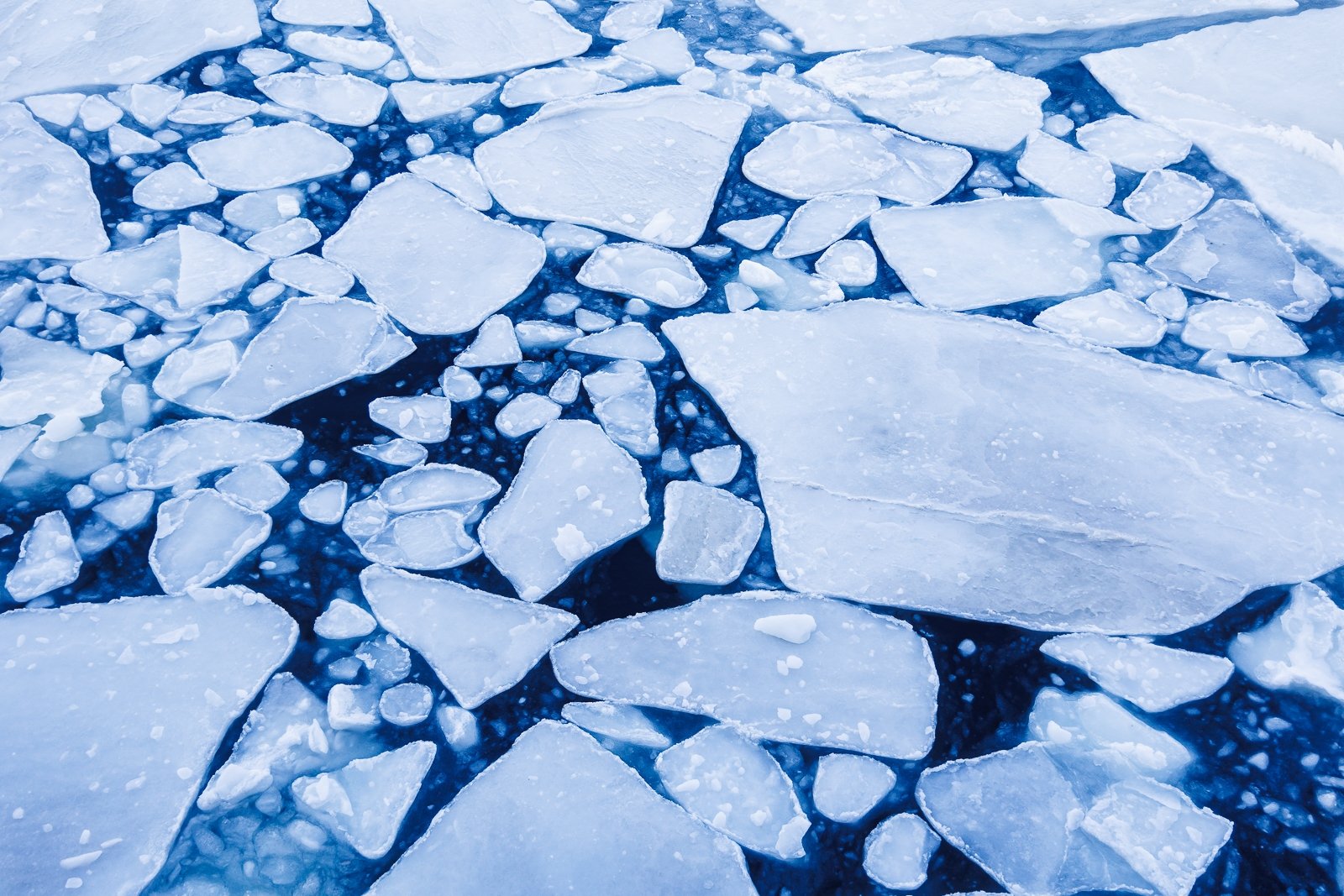 лед на море, ледокол Евгений  Кулешов, ИА PrimaMedia.ru