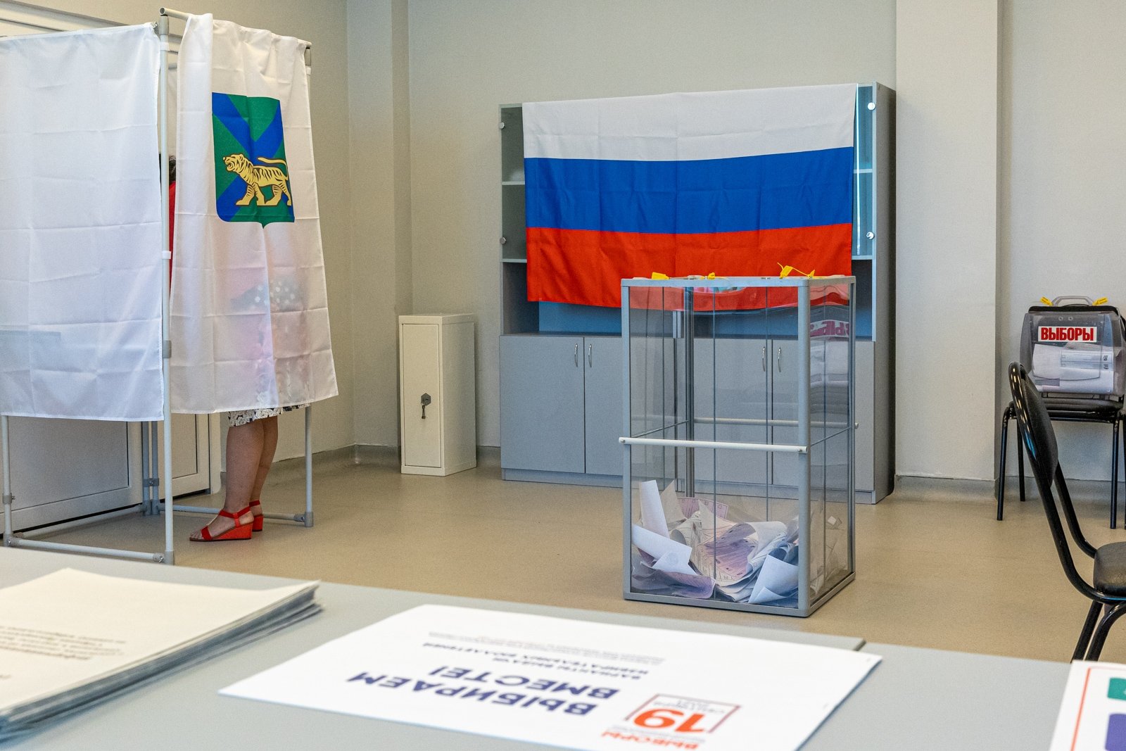 выборы, голосование Мария Смитюк, ИА PrimaMedia.ru