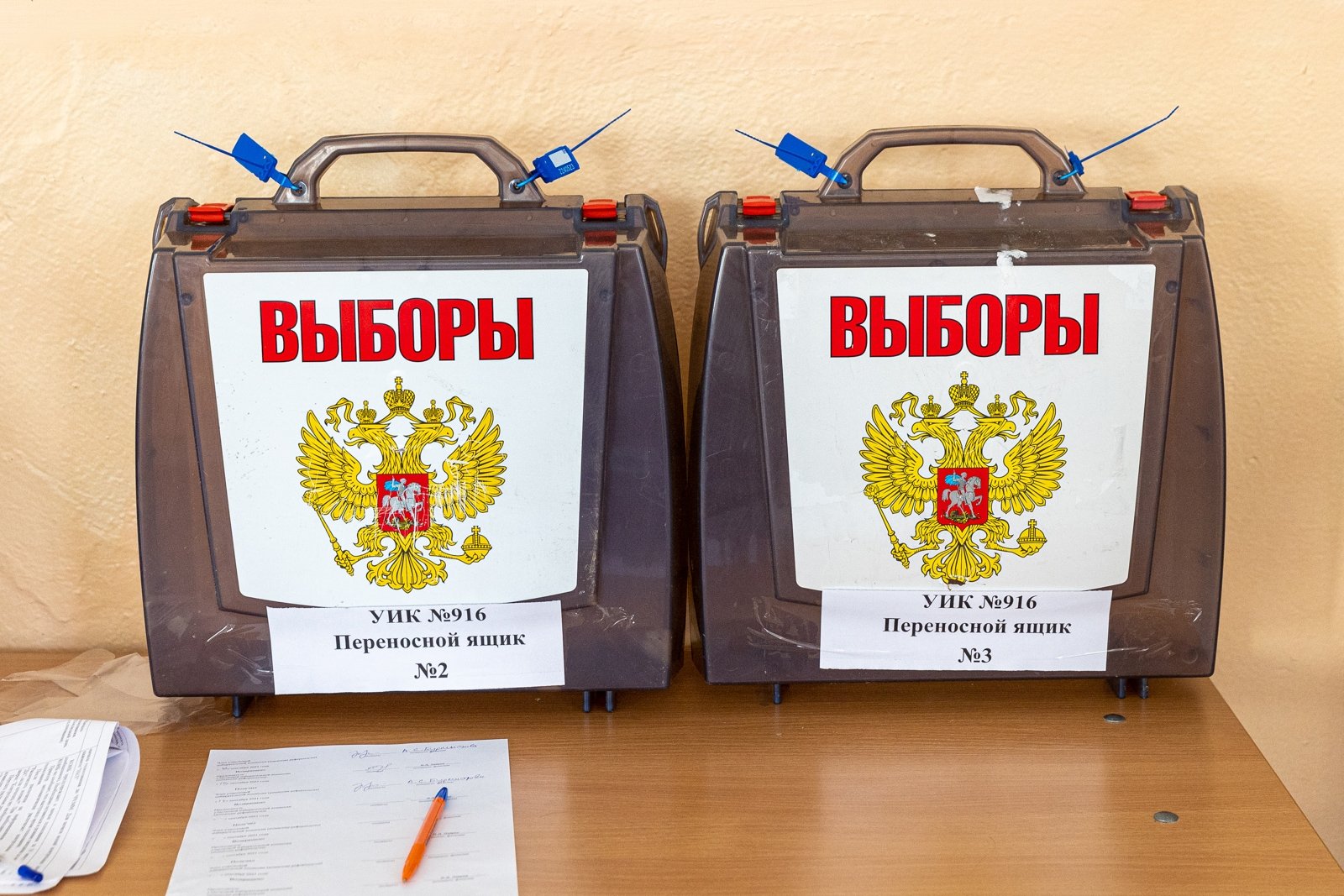 выборы, голосование Мария Смитюк, ИА PrimaMedia.ru