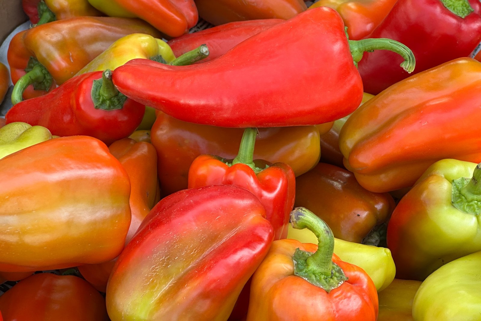 Перец сладкий, овощи, овощная продукция, магазин, рынок Александр Шепырев, ИА UssurMedia